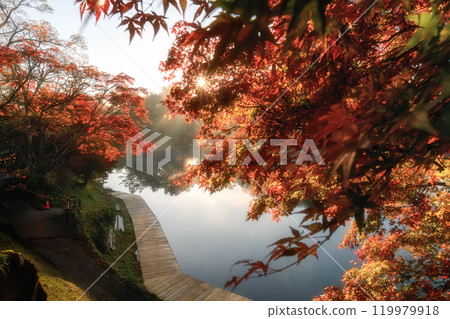 福島縣、盛開的五色沼湖、毗沙門沼 福島縣、盛開的五色沼湖、毗沙門沼 119979918
