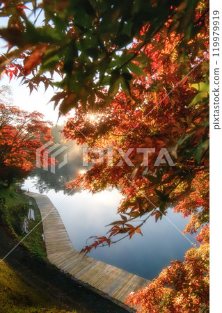 福島縣、盛開的五色沼湖、毗沙門沼 119979919