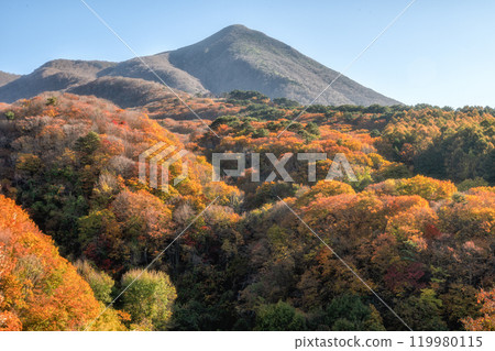 Autumn leaves in Urabandai, Fukushima Prefecture 119980115