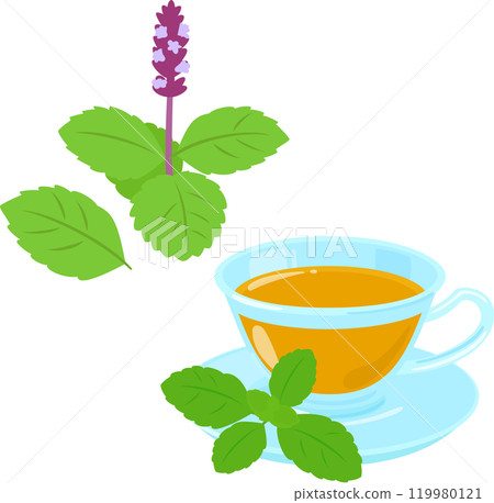 Tulsi leaves and tulsi tea 119980121