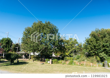 View of Maehara Park (Tonboike Park) on a clear autumn day, Nishinokawa, Komae City, Tokyo 119981023