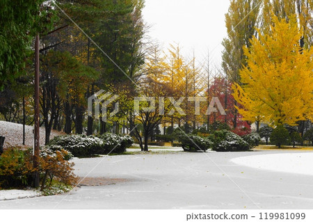 Snow and autumn leaves 119981099