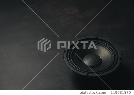 Black audio loudspeaker Black audio loudspeaker 119981570
