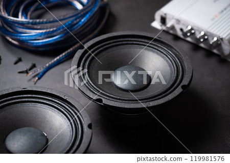 Black audio loudspeaker Black audio loudspeaker 119981576