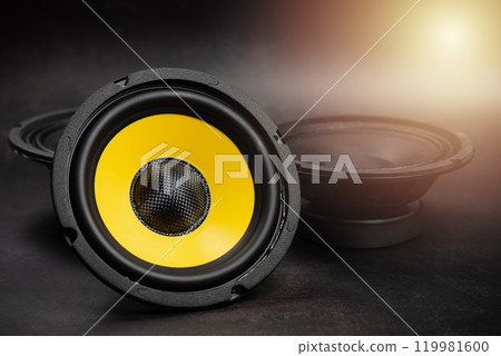 yellow-black audio loudspeaker 119981600