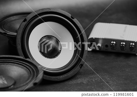 yellow-black audio loudspeaker 119981601