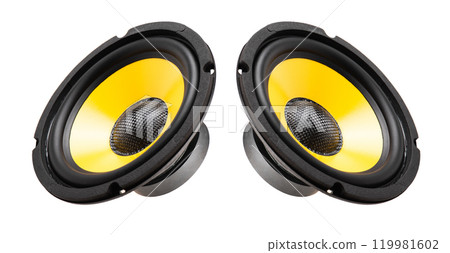 yellow-black audio loudspeaker 119981602