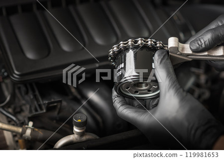 new car oil filter 119981653