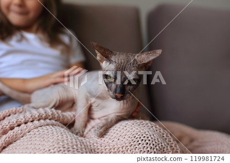 A joyful scene of a young girl playing with her adorable Sphynx cats. The unique, hairless cats are playfully interacting with her, creating a delightful atmosphere filled with laughter and affection. 119981724