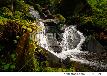 山間溪流瀑布 119981913