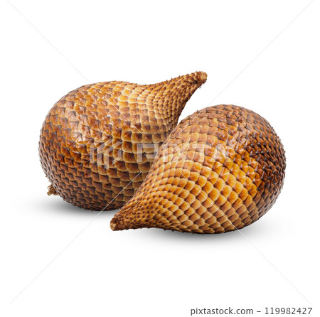Salacca or zalacca fruit isolated on white background Salacca or zalacca fruit isolated on white background 119982427
