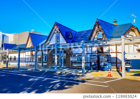 Shiraoi Station, Shiraoi Town, Shiraoi District, Hokkaido 119983024