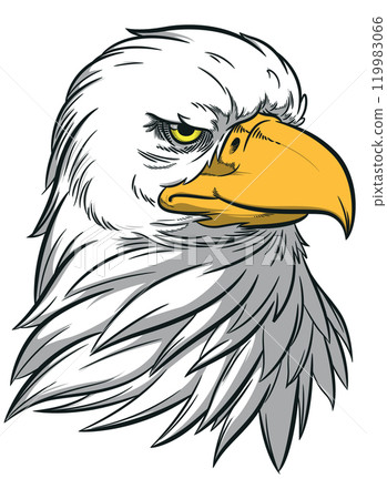 Eagle Head American Patriotic Hawk Bird 119983066