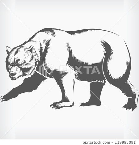 Silhouette Grizzly Brown Bear Walking Stencil Isolated Vector Drawing Silhouette Grizzly Brown Bear Walking Stencil Isolated Vector Drawing 119983091