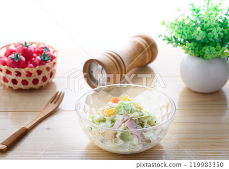 涼拌高麗菜沙拉（高麗菜沙拉） 119983350