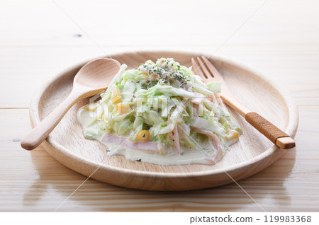 Coleslaw salad (cabbage salad) Coleslaw salad (cabbage salad) 119983368