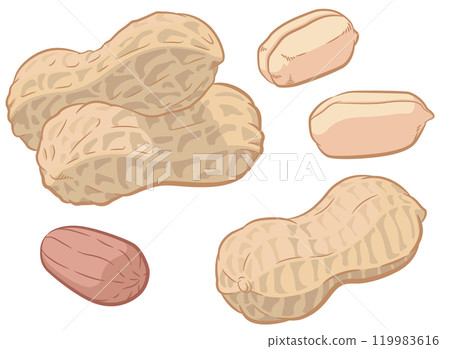 Peanuts Isolated Seed Nutshell Pod Cartoon Peanuts Isolated Seed Nutshell Pod Cartoon 119983616
