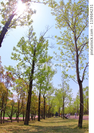 <Hyogo Prefecture> Kitakobe, Happy Village, fresh greenery <Hyogo Prefecture> Kitakobe, Happy Village, fresh greenery 119984231