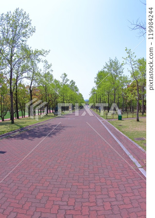 <Hyogo Prefecture> Kitakobe, Happy Village, fresh greenery <Hyogo Prefecture> Kitakobe, Happy Village, fresh greenery 119984244