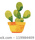 Watercolor cactus illustration 119984409