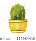 Watercolor cactus illustration 119984410