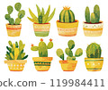 Watercolor cactus illustration 119984411