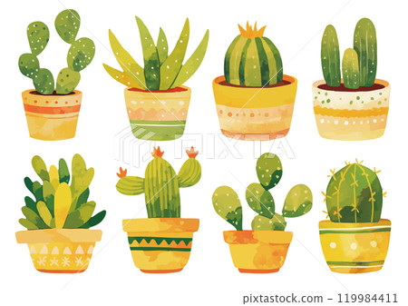 Watercolor cactus illustration 119984411