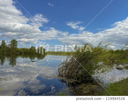 very beautiful bank of the Berezina river in summer 119984526