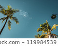 Hawaii 119984539