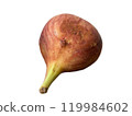 Back view of a ripe and cracked fig, no background 119984602