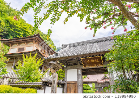從正門看板橋山正源寺昇龍殿 119984990