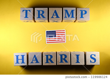 Wooden cubes with the names of US presidential candidates Donald Trump and Kamala Harris 119986124