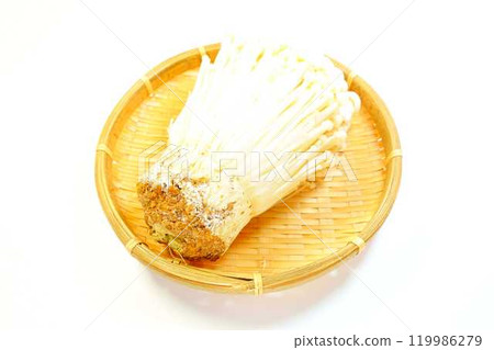 Enokitake mushroom, Enoki mushroom, Nametake mushroom, Namesuki mushroom, Saxifrage mushroom 119986279