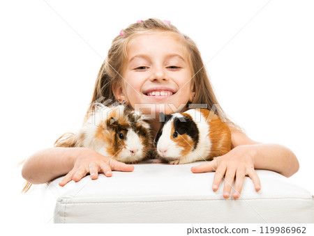 Cute little girl with two guinea pigs. Isolated on white background. 119986962