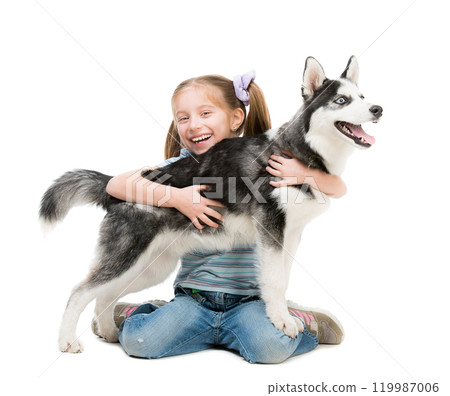 happy little girl and dog on a white background Husky 119987006