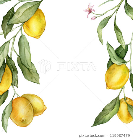 Lemon Fruits square Frame. Hand drawn watercolor illustration of Border with Citrus branches on white isolated background. Drawing with tropical fruit lemon for food label or cards design. 119987479