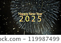 New year 2025 greeting with fireworks Happy New year 2025 animated. Fireworks shiny on background. Animated text that says Happy New Year 2025. 3D Illustration. 3D Illustration. 119987499