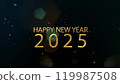 New year 2025, beautiful background, New Year celebration. Animated text that says Happy New Year 2025. Celebration to welcome the new year. 3D Illustration. 3D Illustration. 119987508