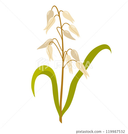 2416_rice_plant 119987532