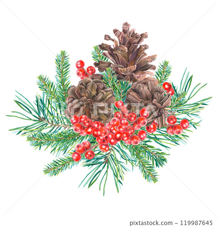 Pine cones, Christmas tree branches, red berries of ilex. Hand drawn watercolor illustration of winter plants on isolated background. For New Year greeting cards or Xmas invitations. Spruce twigs. 119987645