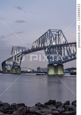 Tokyo Gate Bridge seen from Wakasu Park 119988015