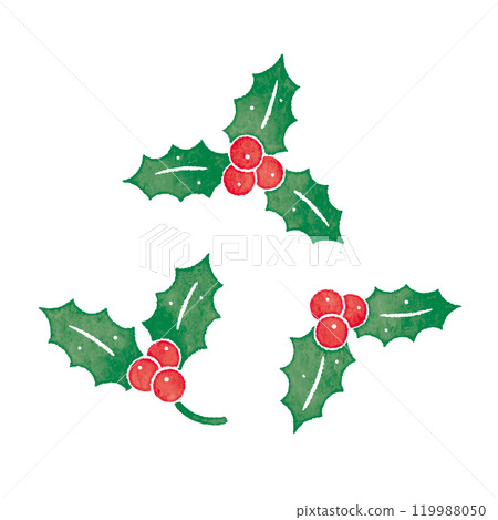 Holly Winter Plants Christmas 119988050