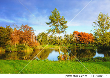 Spring, river and nature with trees, forest and scenic view with blue sky in Japan countryside. Outdoor, environment or aesthetic landscape with grass, plants or vibrant color with clouds in morning 119988396