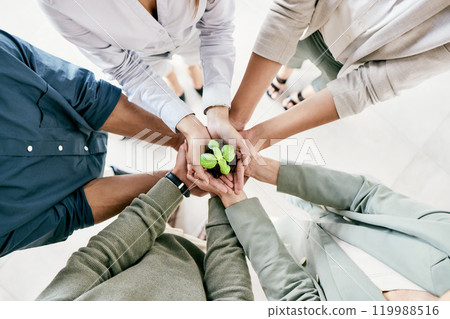 Hands, plant and team of business people in office with unity, diversity or solidarity together. Collaboration, career and group with leaf in soil for support, growth and sustainability from above. 119988516