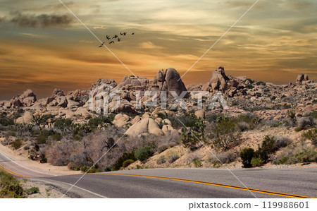 Joshua tree national park, california, united states Joshua tree national park, california, united states 119988601