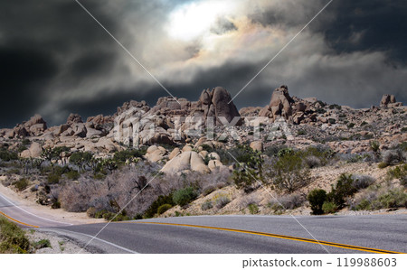 Joshua tree national park, california, united states Joshua tree national park, california, united states 119988603