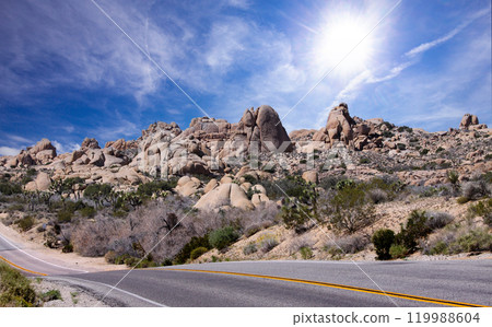 Joshua tree national park, california, united states Joshua tree national park, california, united states 119988604