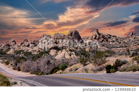 Joshua tree national park, california, united states Joshua tree national park, california, united states 119988610