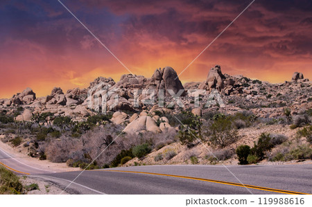 Joshua tree national park, california, united states Joshua tree national park, california, united states 119988616