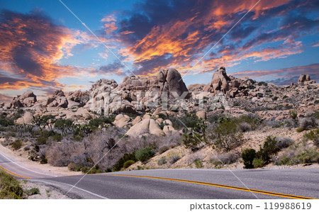 Joshua tree national park, california, united states Joshua tree national park, california, united states 119988619